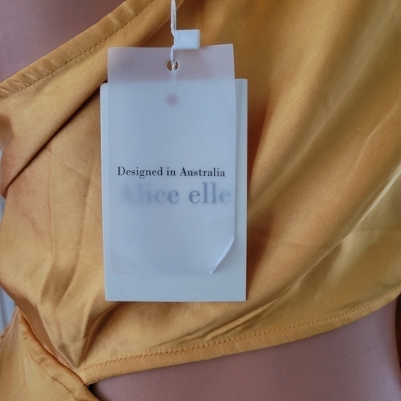 Alice elle NWT Dress size 12. - Picture 7 of 15